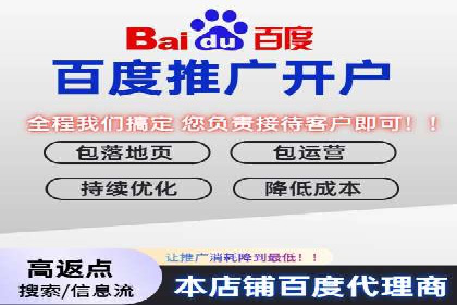SEM运营公司成功案例解析